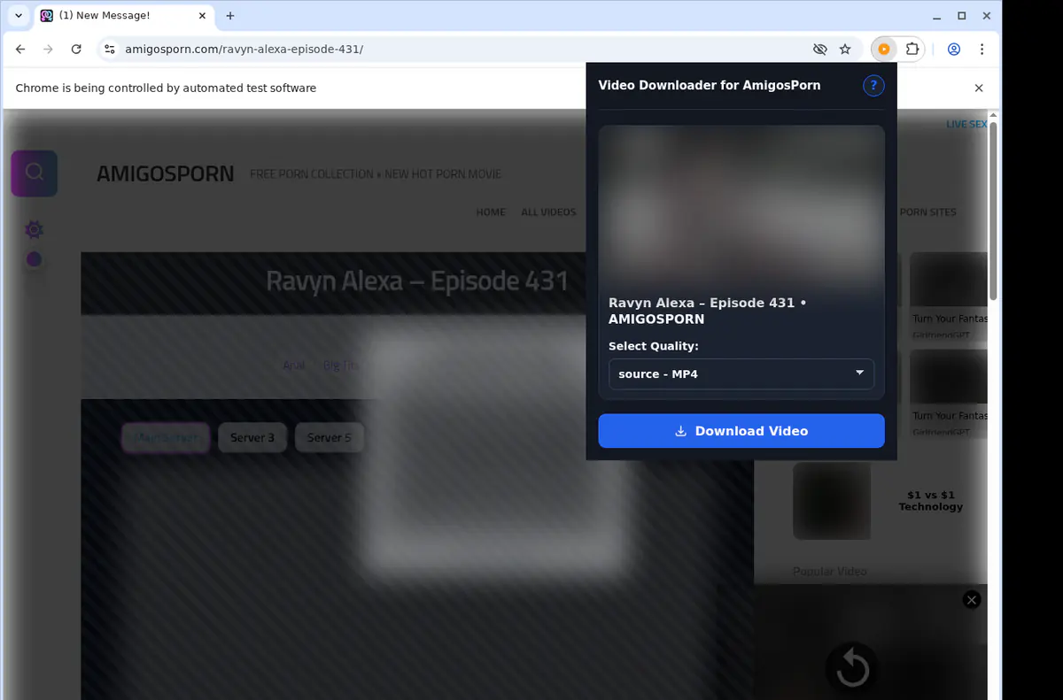 Amigosporn Video Downloader browser extension screenshot 3