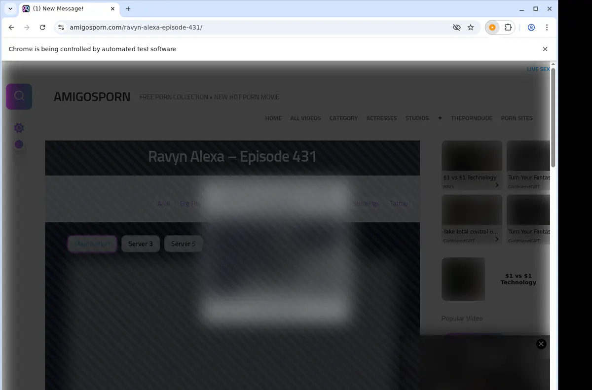 Amigosporn Video Downloader browser extension screenshot 5